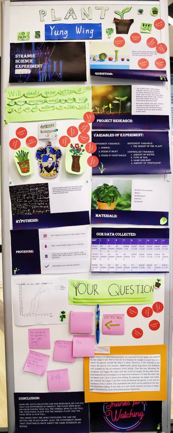 The Middel School Science Fair